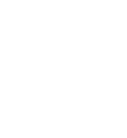 Other AI Solutions